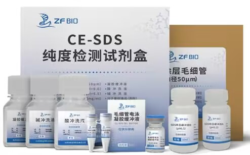 新品上市 | 舟帆生物CE-SDS純度檢測(cè)試劑盒